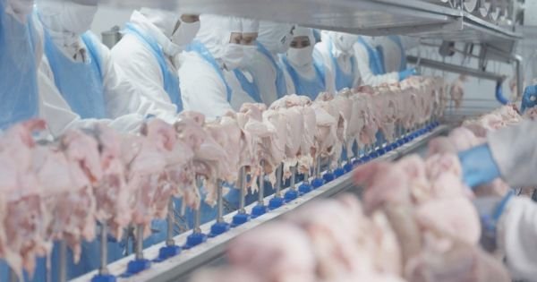 Optimistische senacsa na audit van Singapore voor het exporteren van vlees - Mercopress