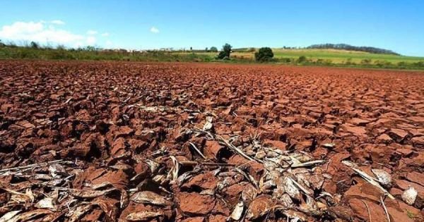 Dürre wird landwirtschaftliche Produkte in Paraguay - Mercopress erhöhen