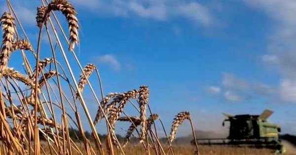 Ze rapporteren een aanzienlijke groei in de export van de Agricultural Paraguaya - Mercopress