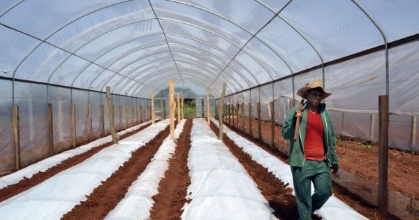Franse bedrijven die geïnteresseerd zijn in het verplaatsen van de productie naar Paraguay - Mercopress 1 Franse bedrijven die geïnteresseerd zijn in het verplaatsen van de productie naar Paraguay - Mercopress
