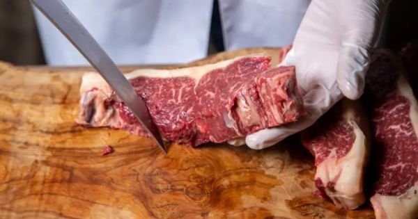 Zuid -Koreaanse missie onderzoekt mogelijke aankopen van Paraguayaans vlees - Mercopress