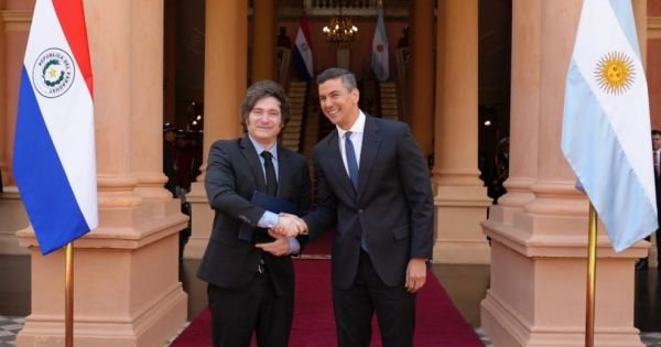 De aanwezigheid van mijl in Paraguay genereert reacties gevonden - mercopress 10 De aanwezigheid van mijl in Paraguay genereert reacties gevonden - mercopress