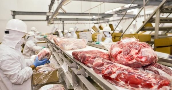 Export van rundvlees groeit na het derde kwartaal - Mercopress