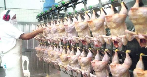 Paraguay voltooit zijn eerste verzending van pluimveevlees naar de Filippijnen: MercoPress